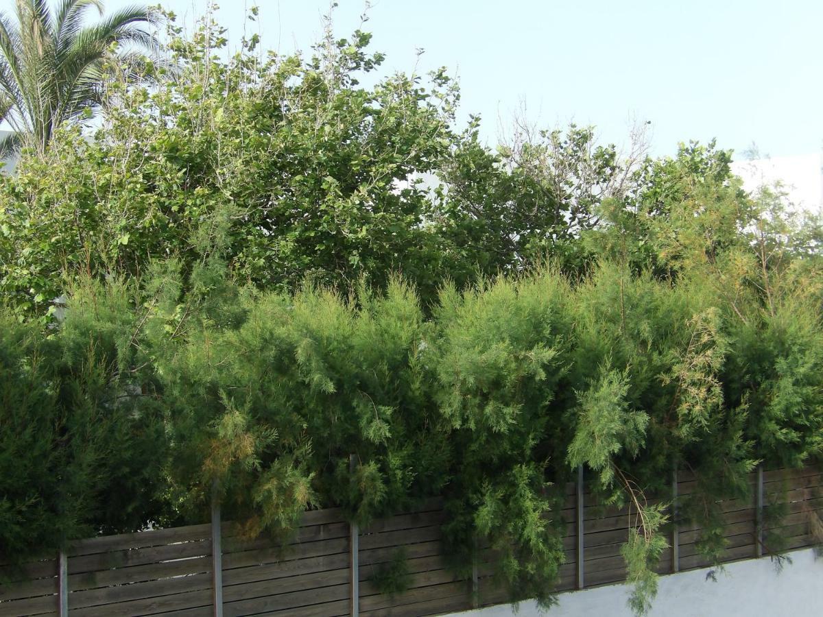 Apartamento Teo 3 Gouves Exterior foto